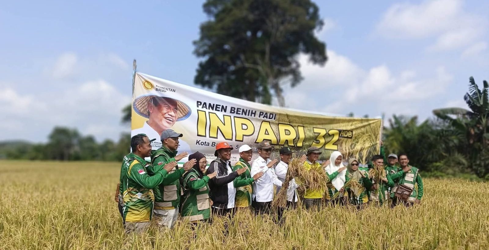 Panen Benih Inpari 32 di Desa Sumber Sari, Pemerintah Kecamatan Kota Bangun Darat Dukung Penguatan Ketahanan Pangan